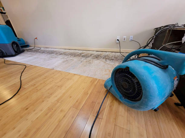 Professional Flood Damage Cleanup technician working in Delaware, OH